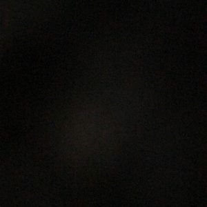 Meet your Posher, Dylan